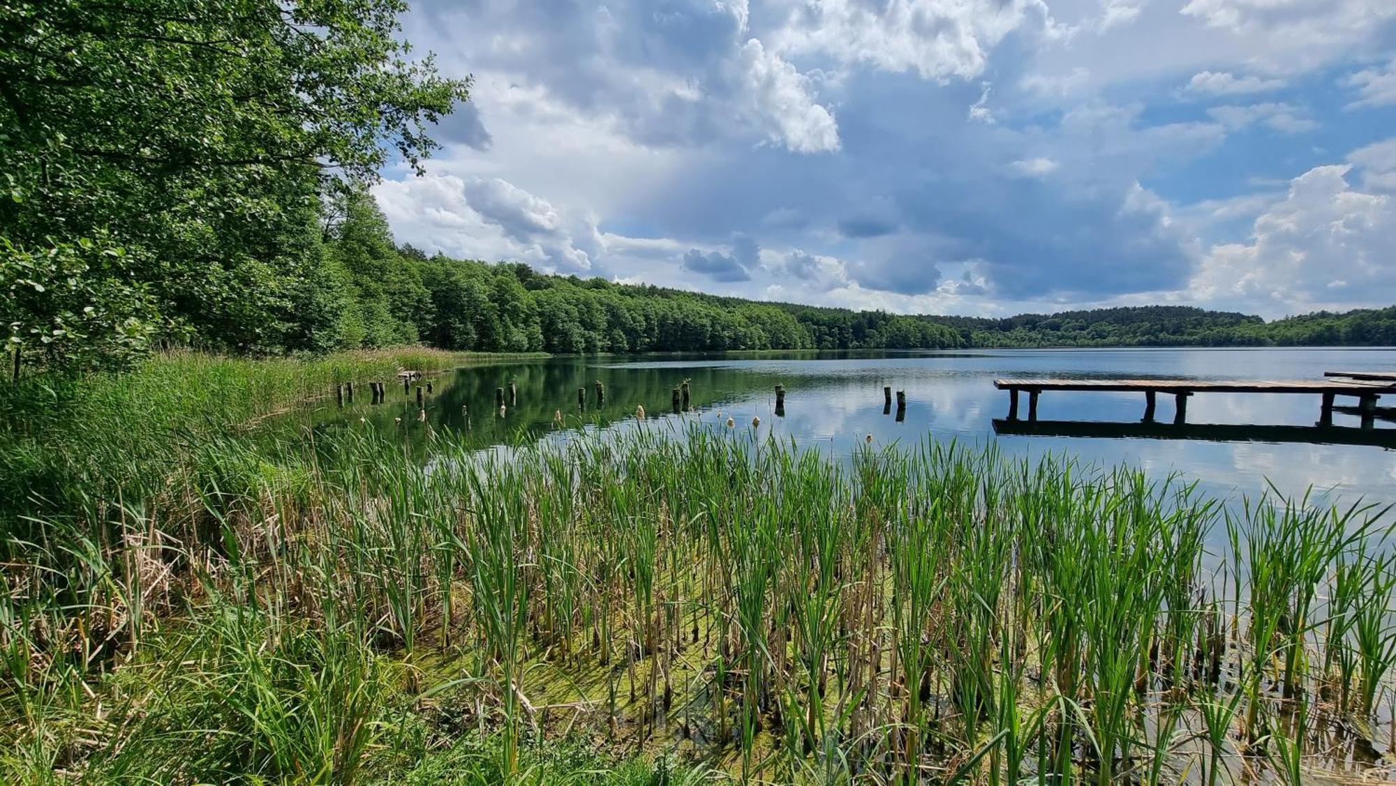 Osrodek La La Las - Domki Letniskowe W Lesie Nad Jeziorem Bytnica Bagian luar foto